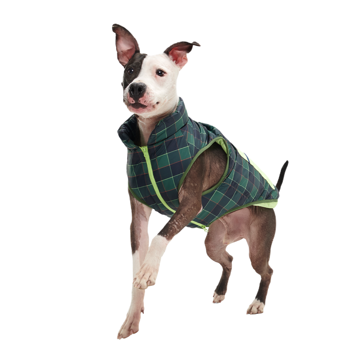 Plaid To The Bone Dog Puffer Vest#Color_Green #Size_L