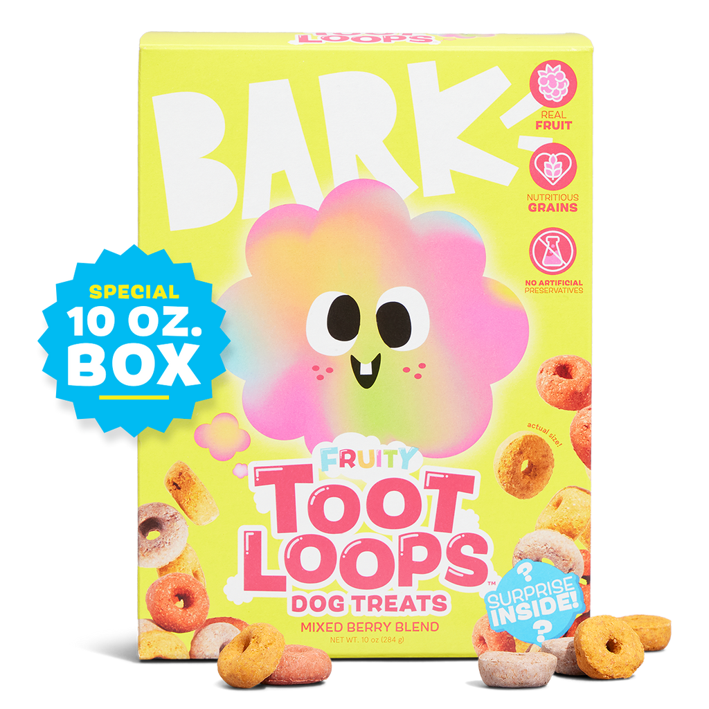 Dog in cereal box deals