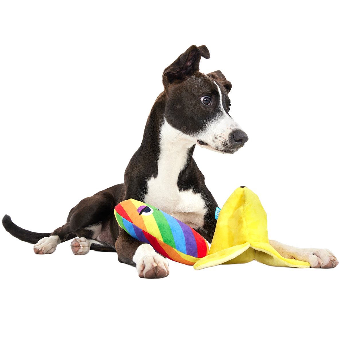 Top Banana Plush Multi-Part Dog Toy