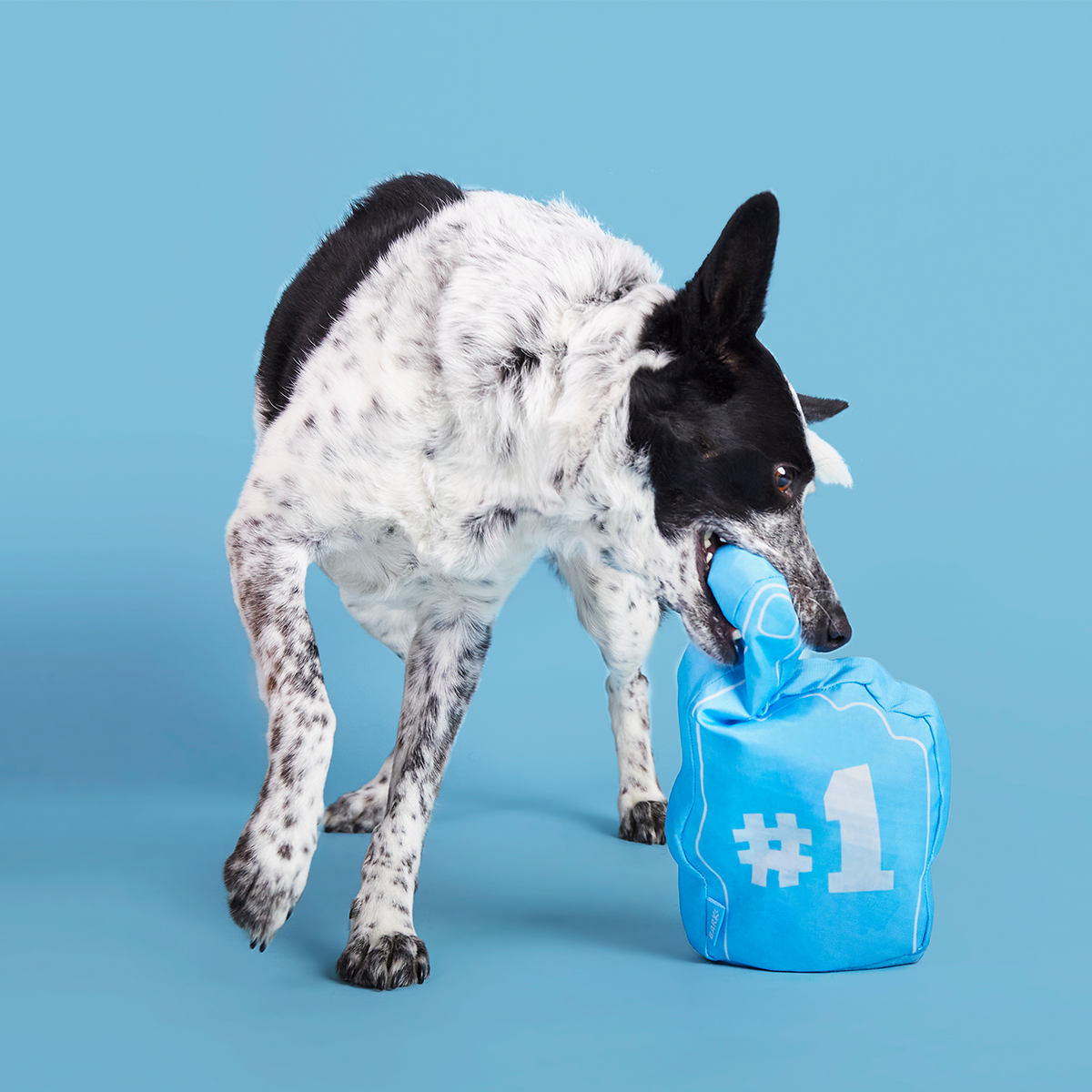 Top Dog Foam Finger Plush Enrichment Dog Toy