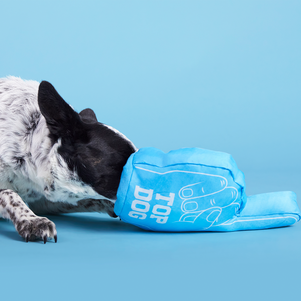 Top Dog Foam Finger Plush Enrichment Dog Toy