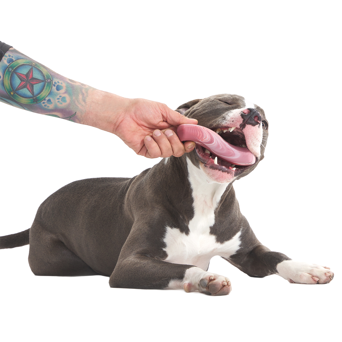 Tough Break Bacon Super Chewer Durable Gnaw Dog Toy