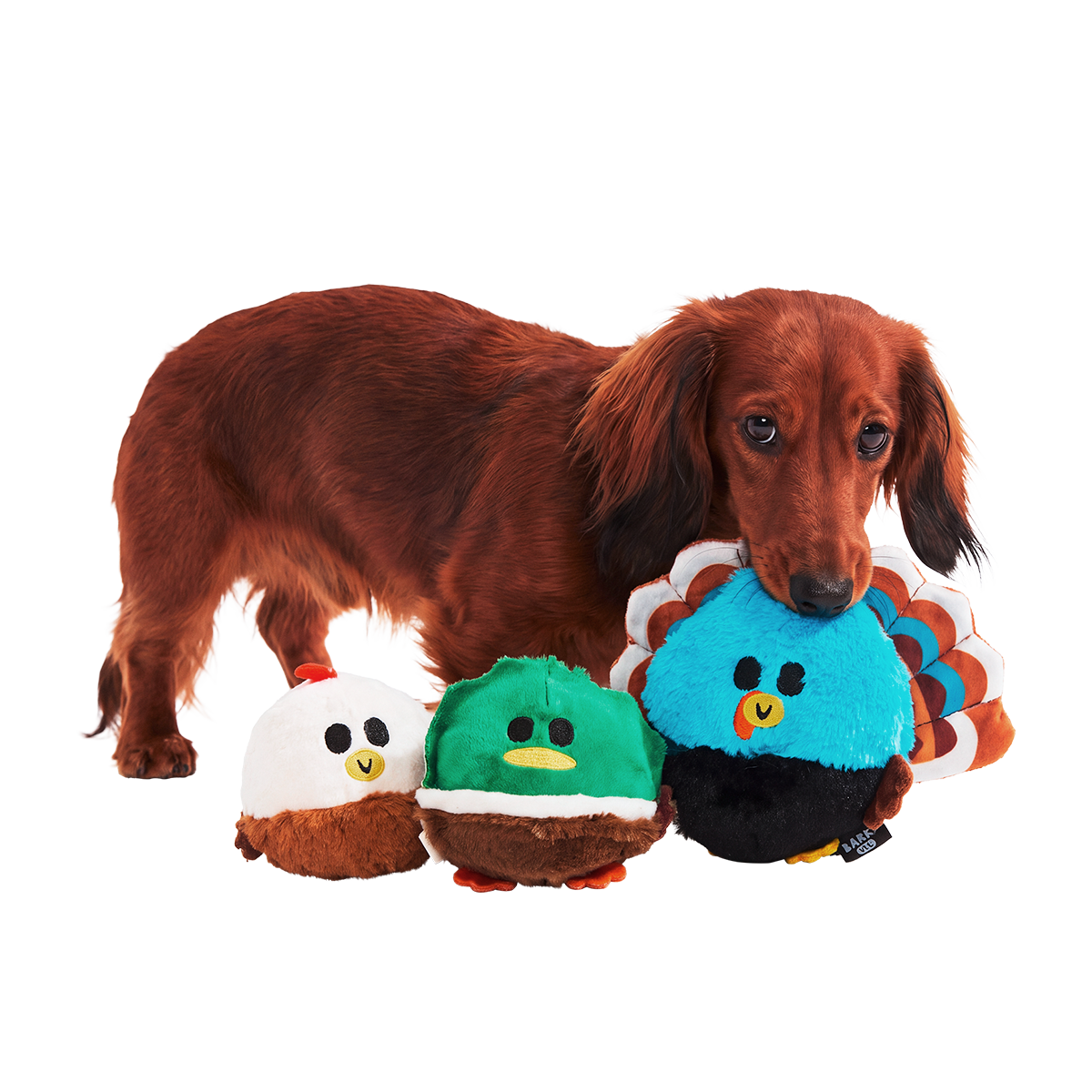Tough Snuffed Turducken Super Chewer Durable 4-in-1 Dog Toy