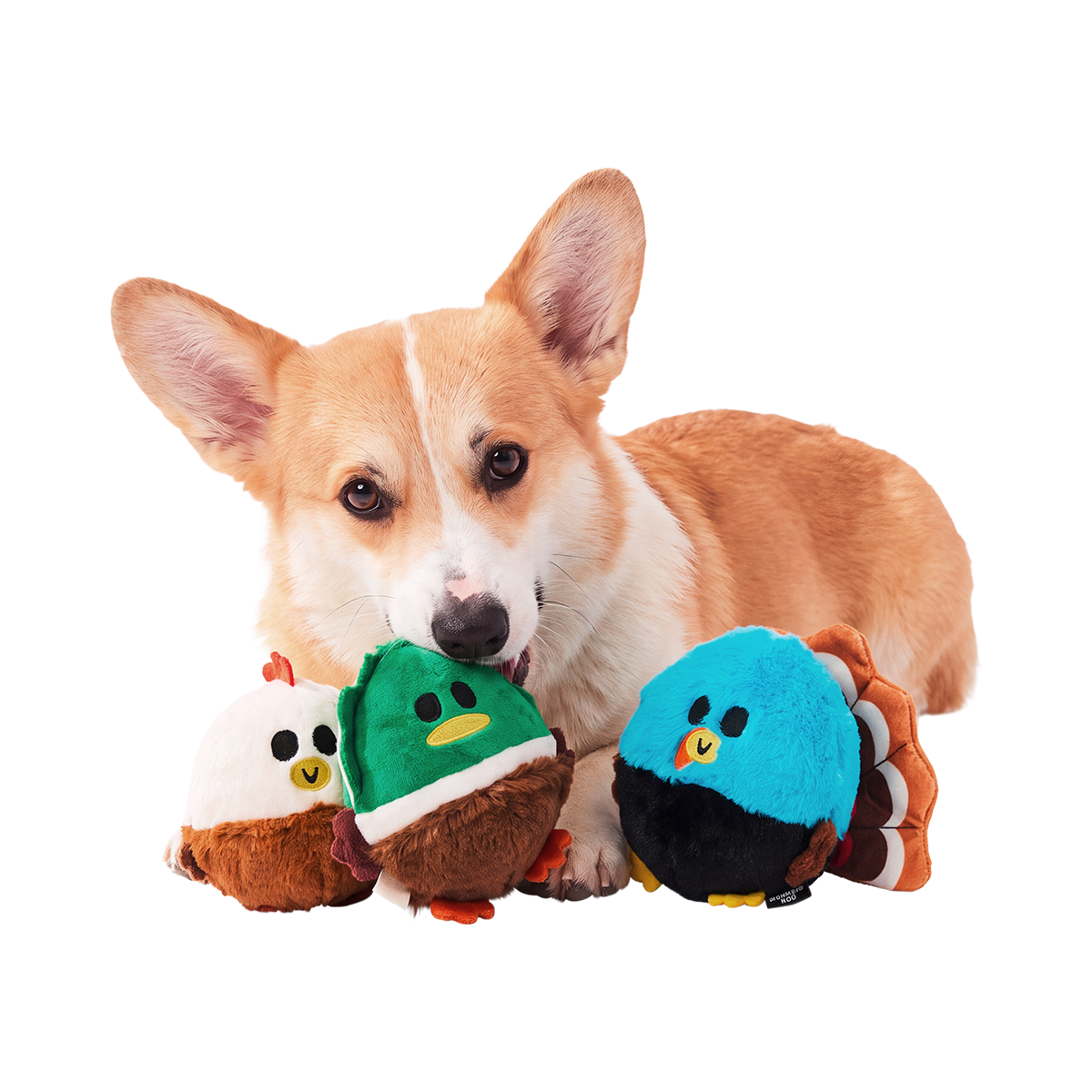 Tough Snuffed Turducken Super Chewer Durable 4-in-1 Dog Toy
