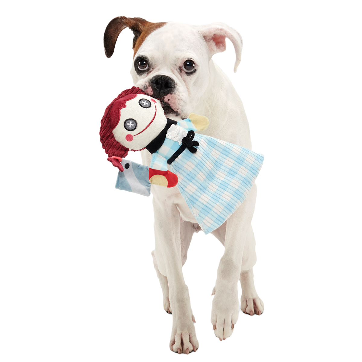 Tragedy Ann Plush Tug Dog Toy