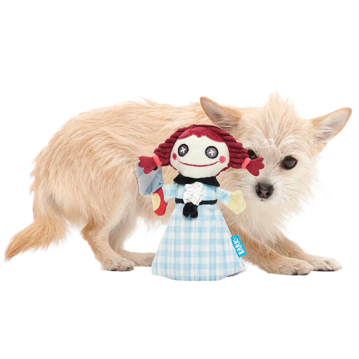 Tragedy Ann Plush Tug Dog Toy