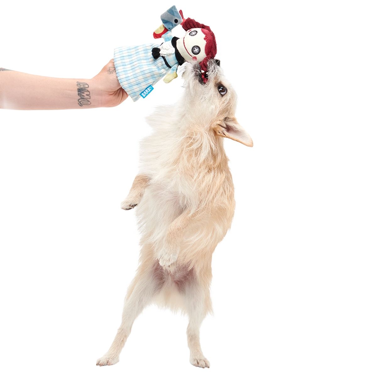 Tragedy Ann Plush Tug Dog Toy