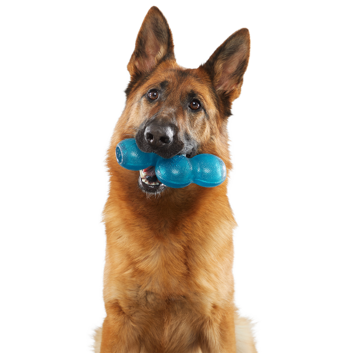 Treat Giver River Super Chewer Durable Enrichment Dog Toy