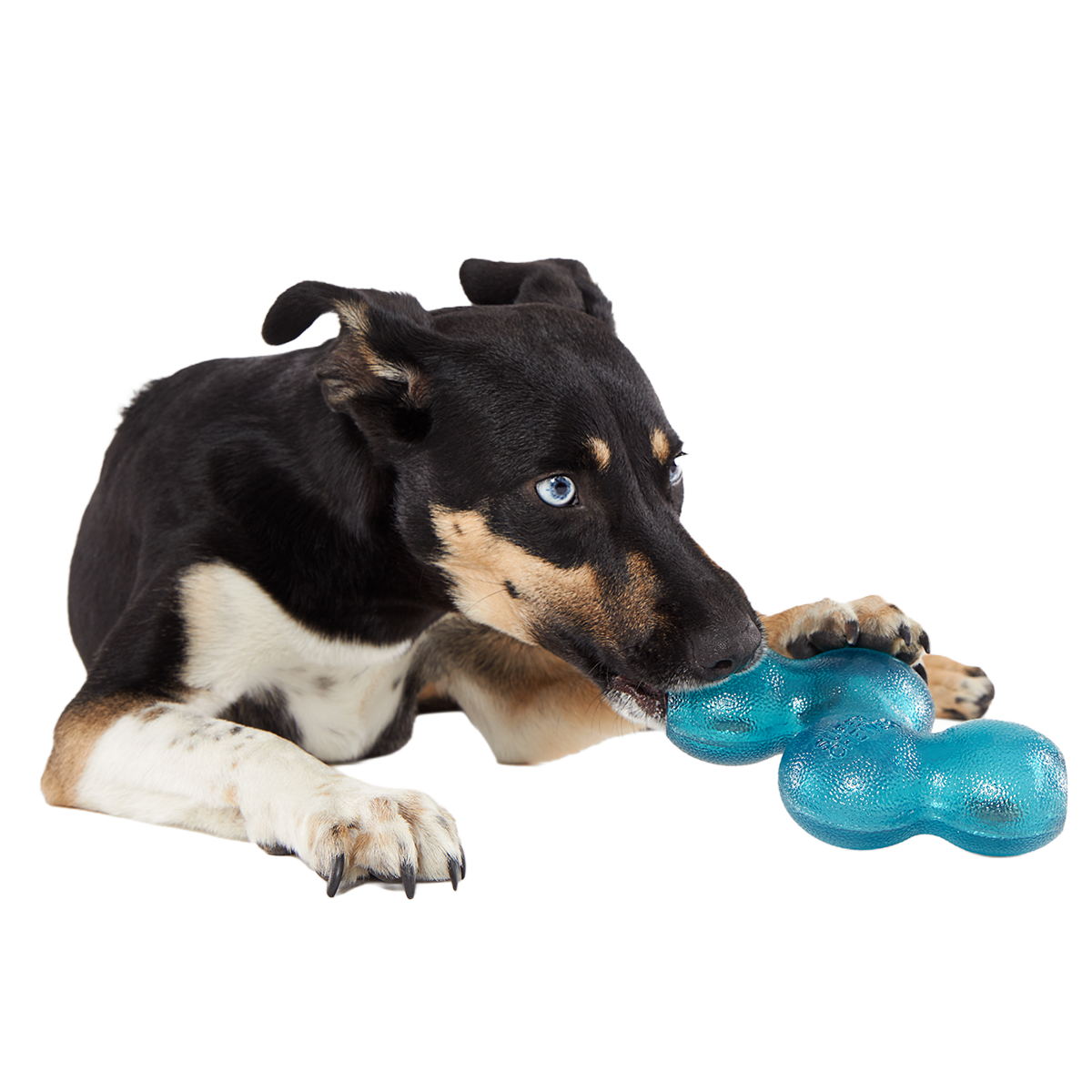 Treat Giver River Super Chewer Durable Enrichment Dog Toy