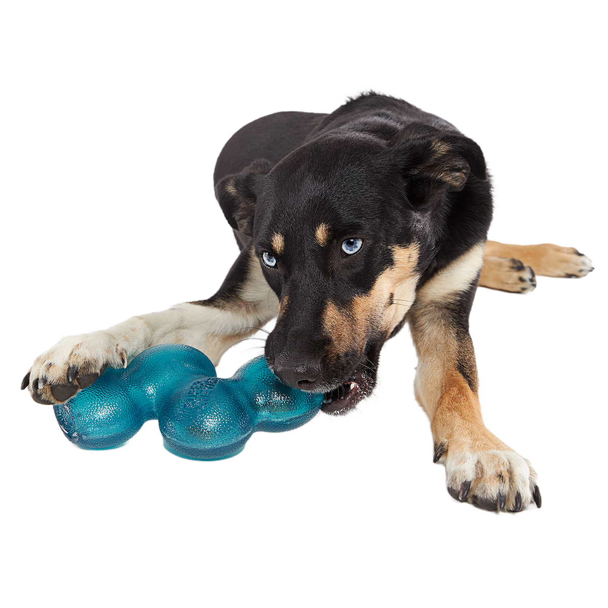 Treat Giver River Super Chewer Durable Enrichment Dog Toy