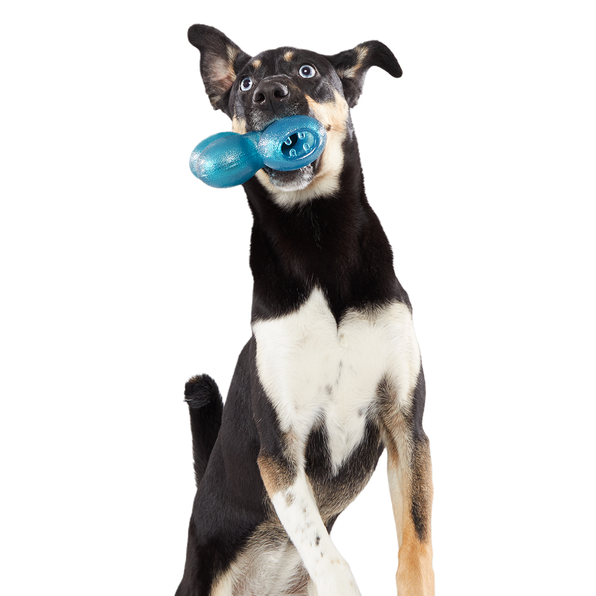 Treat Giver River Super Chewer Durable Enrichment Dog Toy