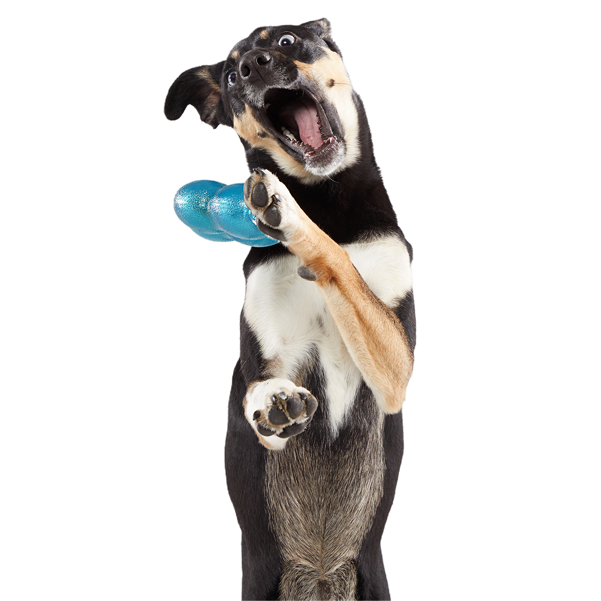 Treat Giver River Super Chewer Durable Enrichment Dog Toy