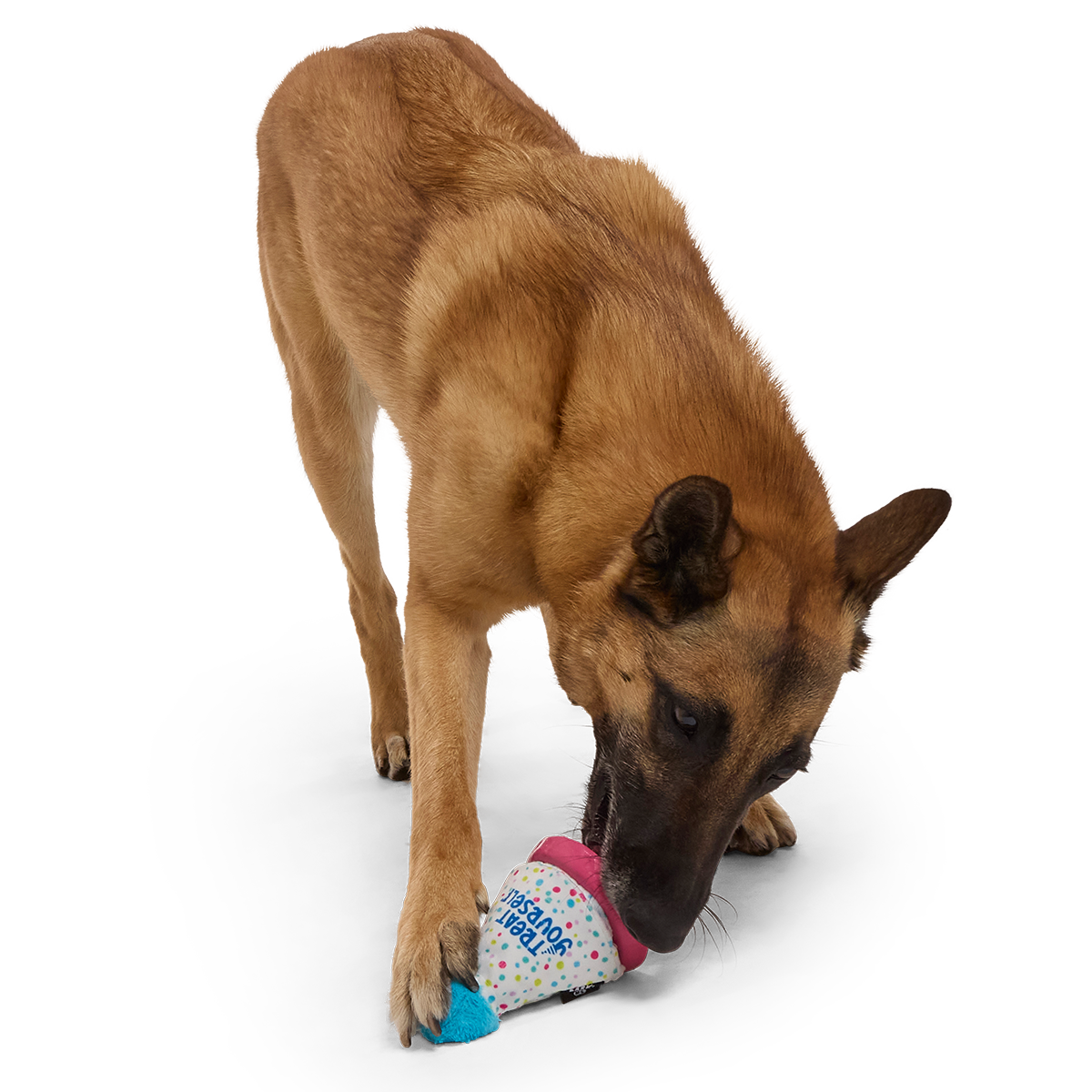 Treat Yourself Party Hat Super Chewer Durable 2-in-1 + Enrichment Dog Toy