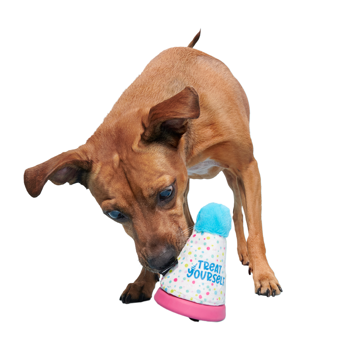 Treat Yourself Party Hat Super Chewer Durable 2-in-1 + Enrichment Dog Toy