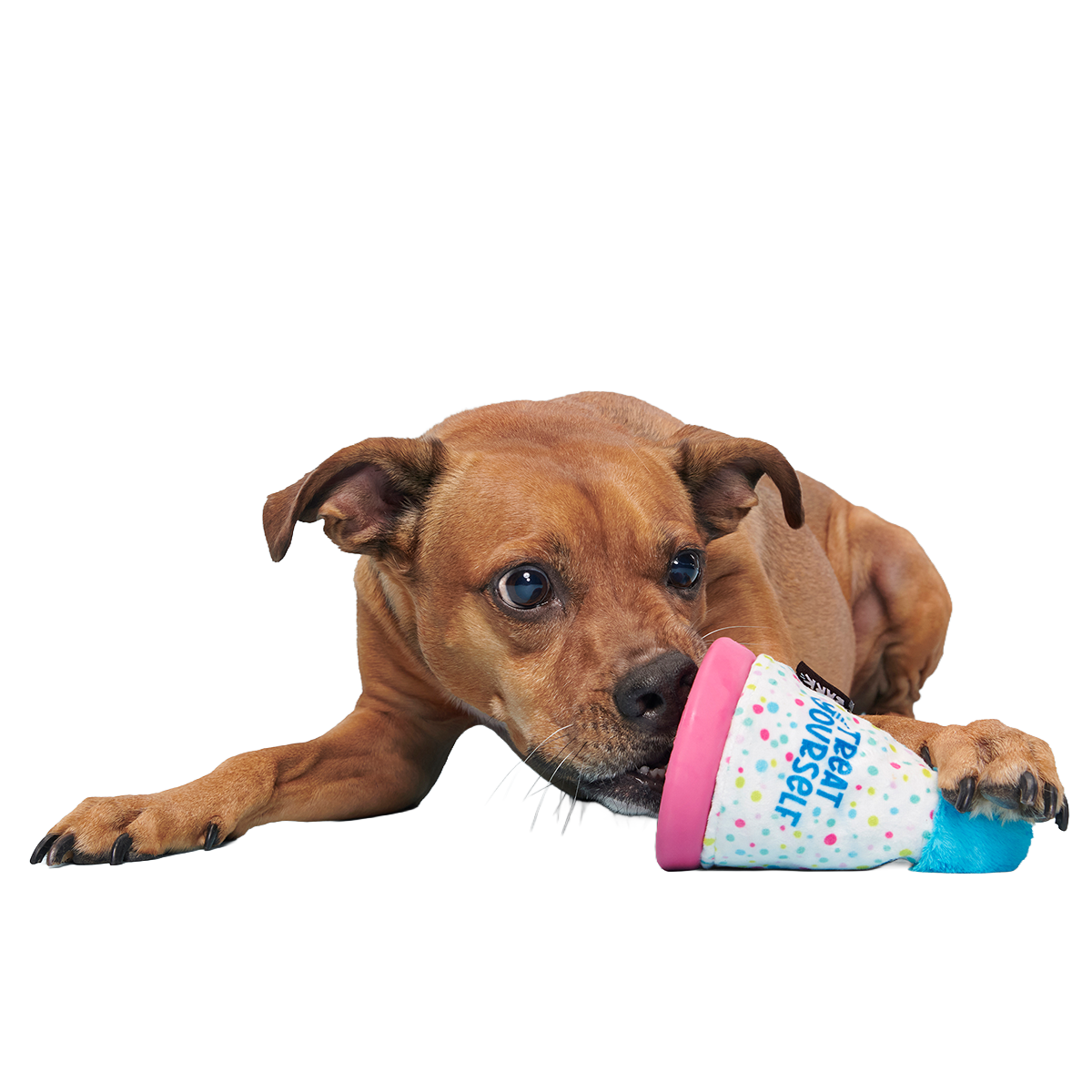 Treat Yourself Party Hat Super Chewer Durable 2-in-1 + Enrichment Dog Toy