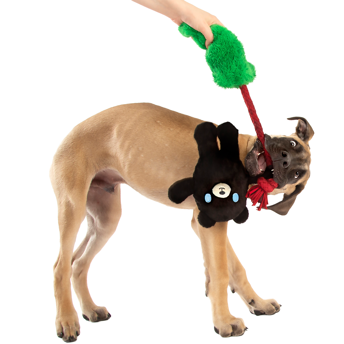 Tree Huggin’ Terry Plush Tug Dog Toy