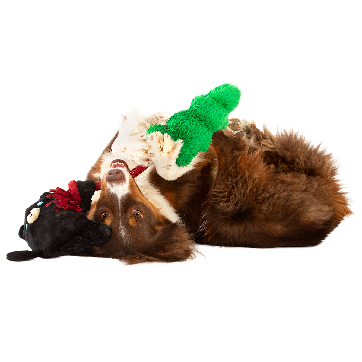 Tree Huggin’ Terry Plush Tug Dog Toy
