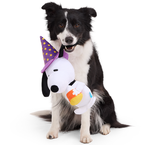 Trick or Squeak Snoopy Plush Extra-Large + Tug Dog Toy – BARK