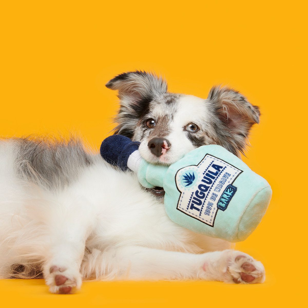 Tug-o-Worm Tugquila Plush Tug Dog Toy