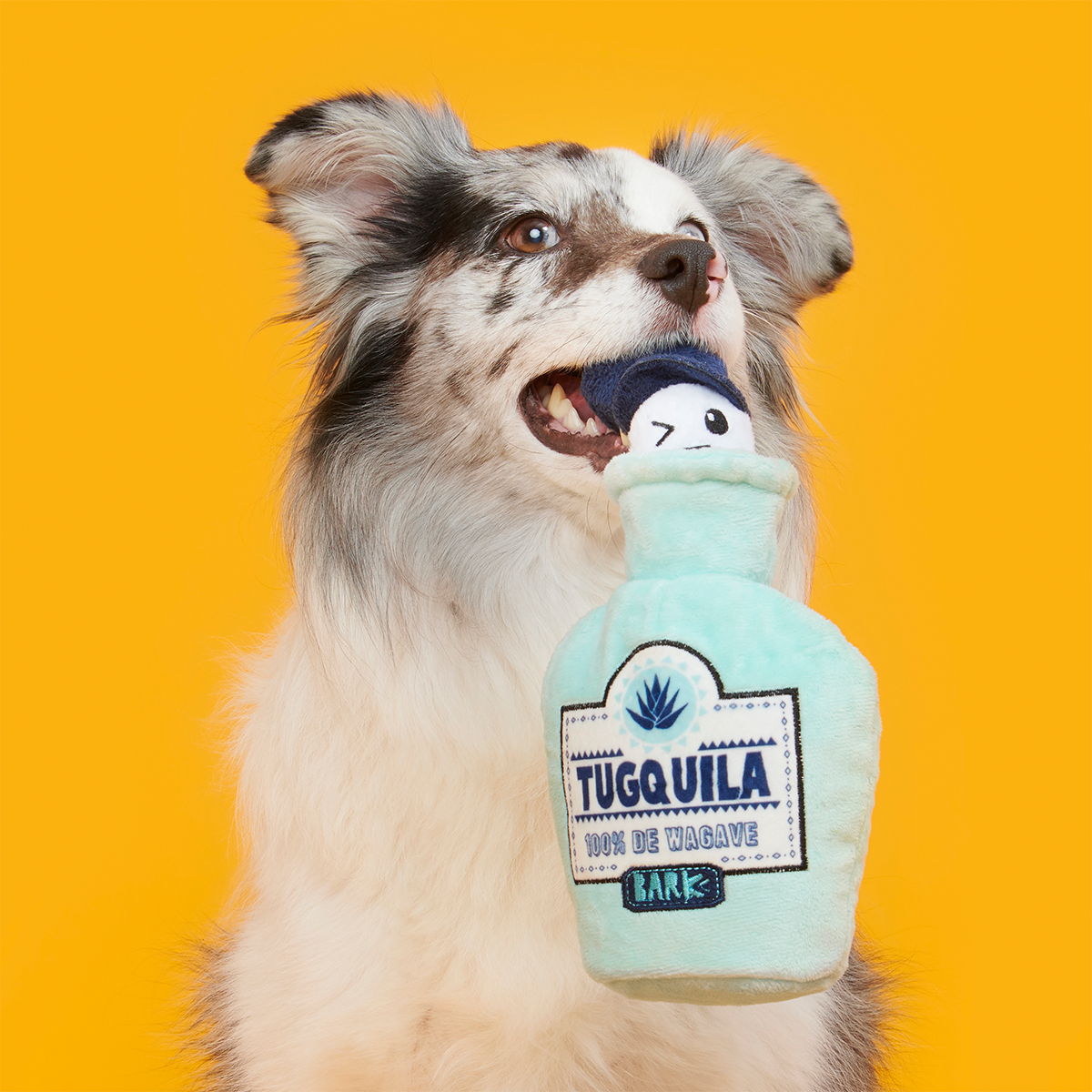 Tug-o-Worm Tugquila Plush Tug Dog Toy