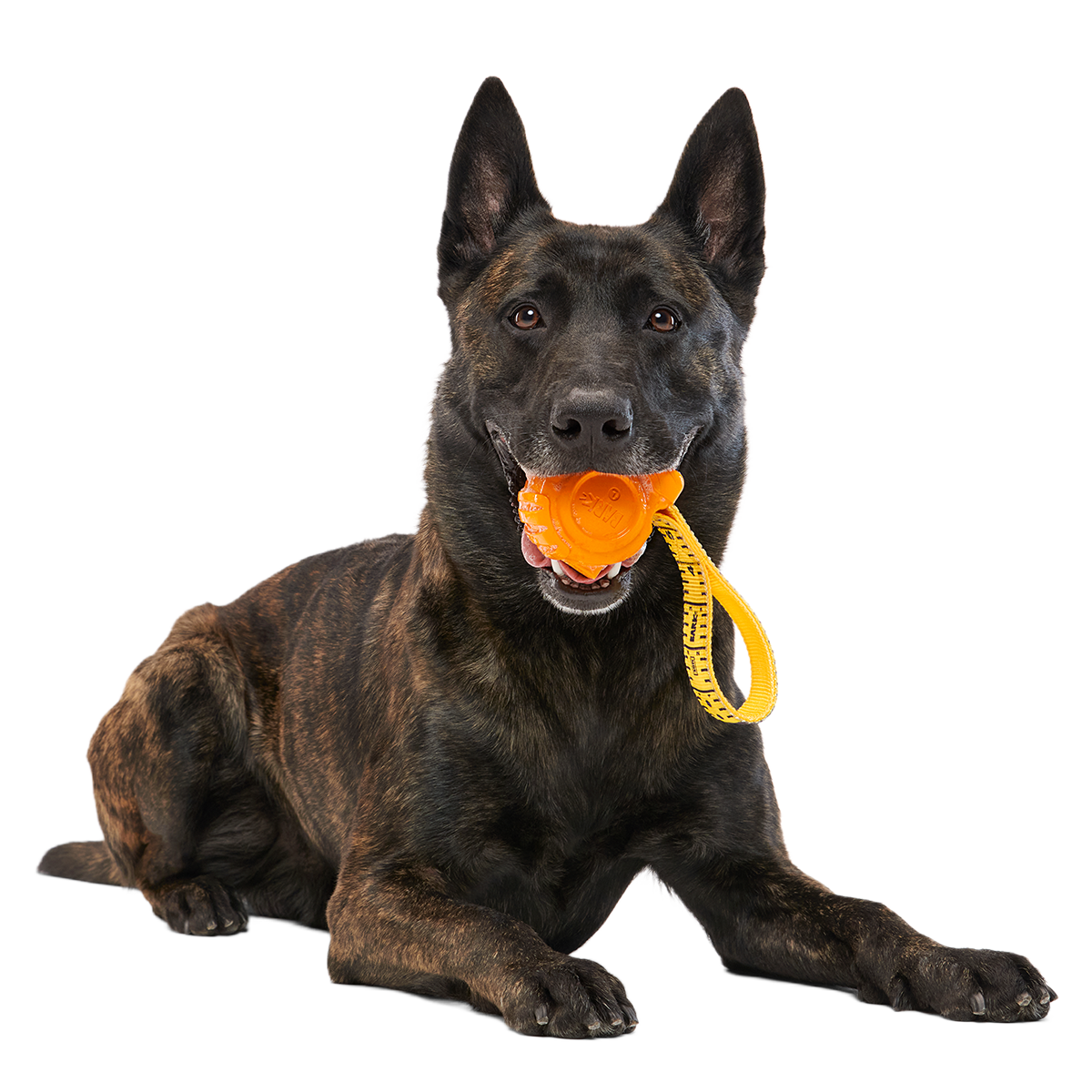 Tug Measure Super Chewer Durable Dog Toy