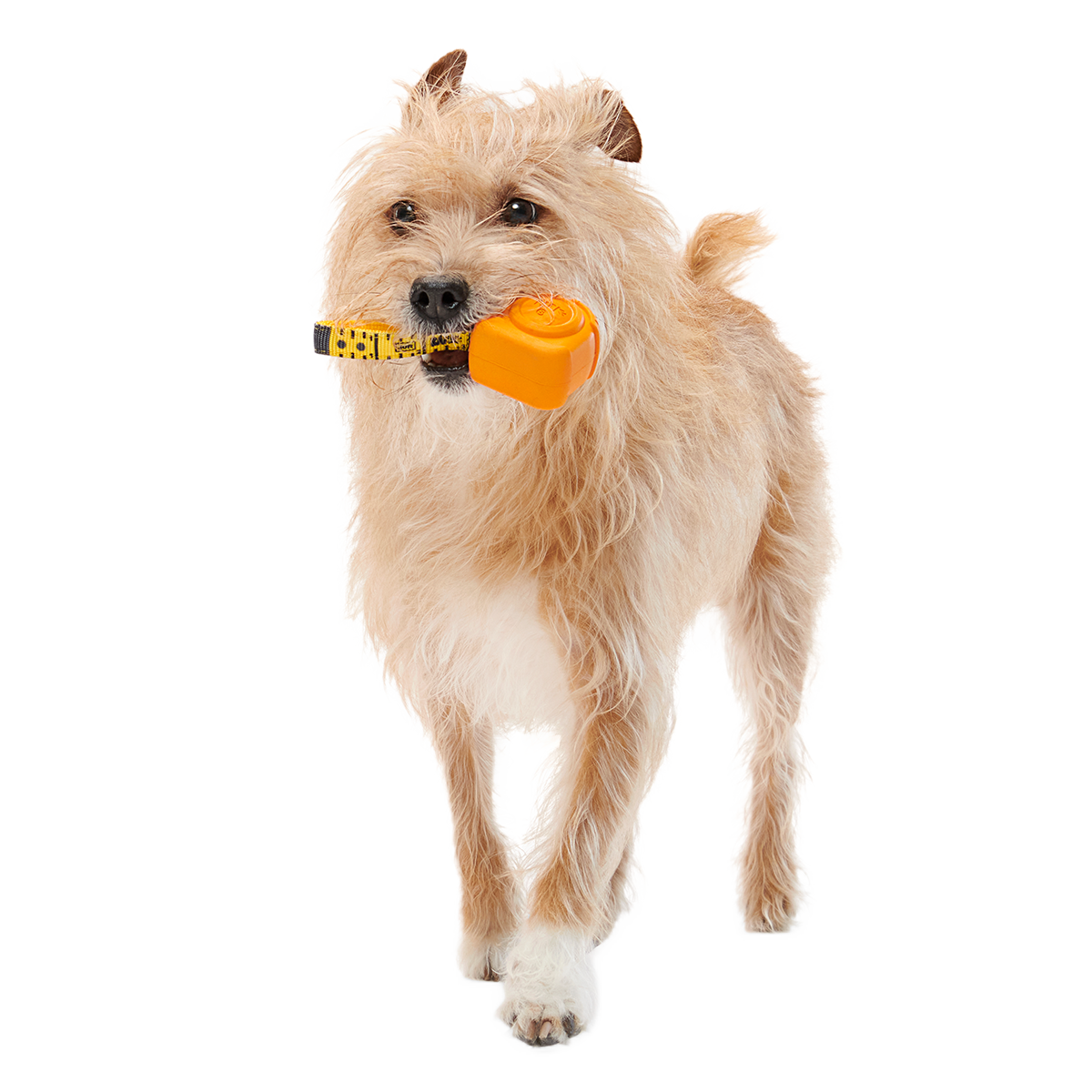 Tug Measure Super Chewer Durable Dog Toy