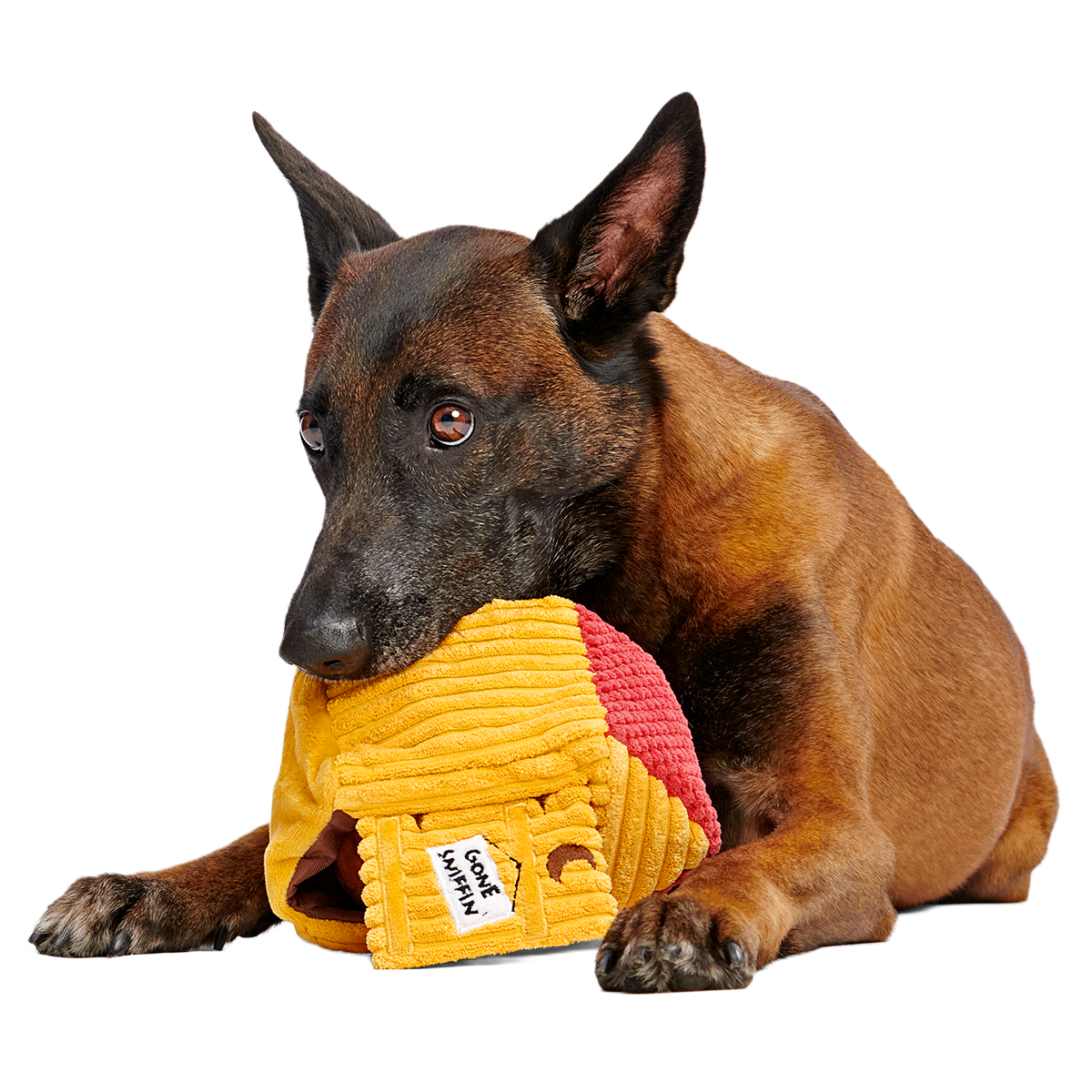 Turdbert's Snouthouse Plush Multi-Part + Enrichment Dog Toy