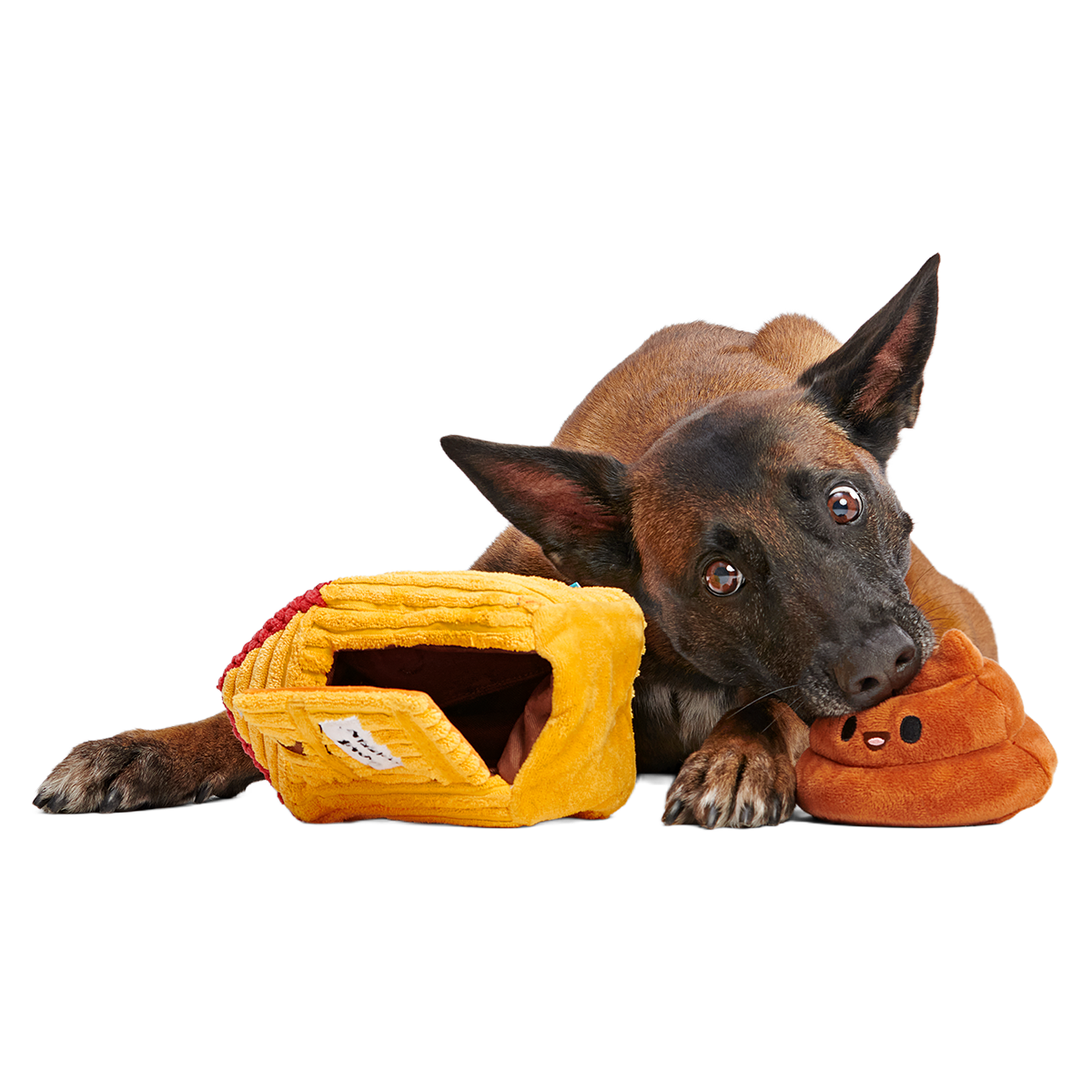 Turdbert's Snouthouse Plush Multi-Part + Enrichment Dog Toy