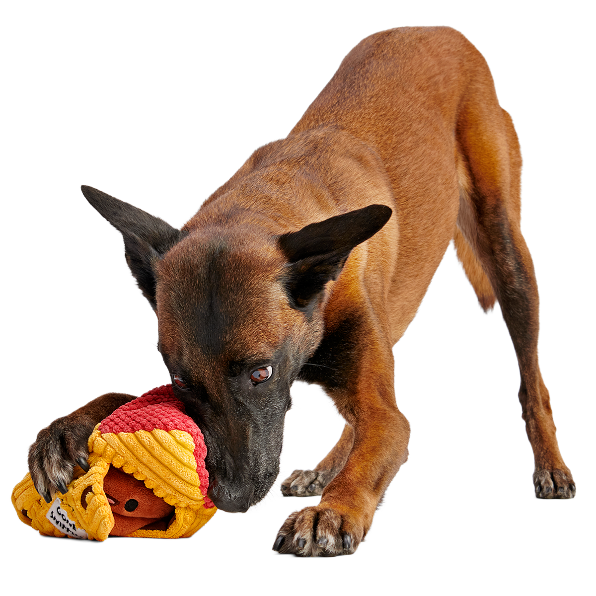 Turdbert's Snouthouse Plush Multi-Part + Enrichment Dog Toy