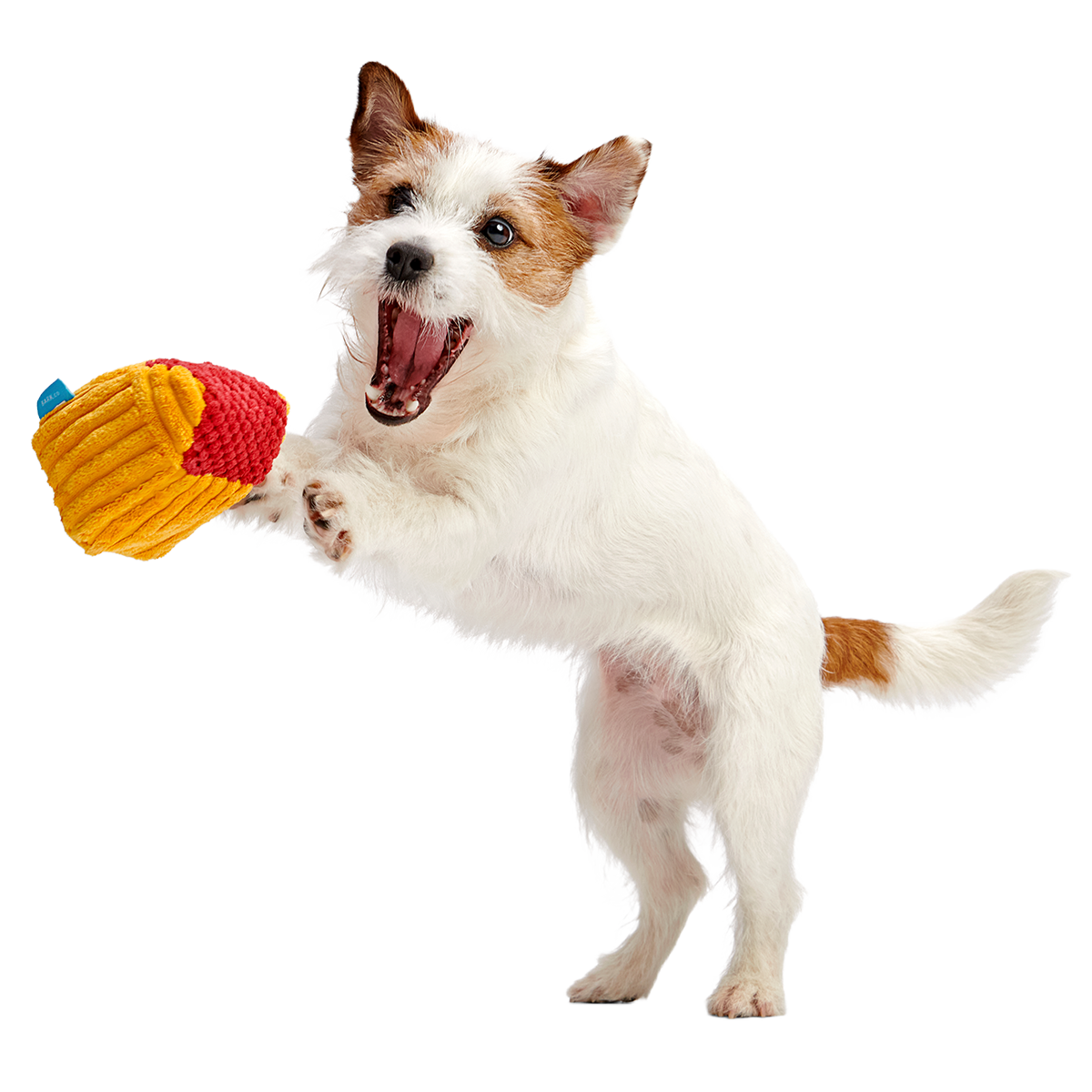 Turdbert's Snouthouse Plush Multi-Part + Enrichment Dog Toy