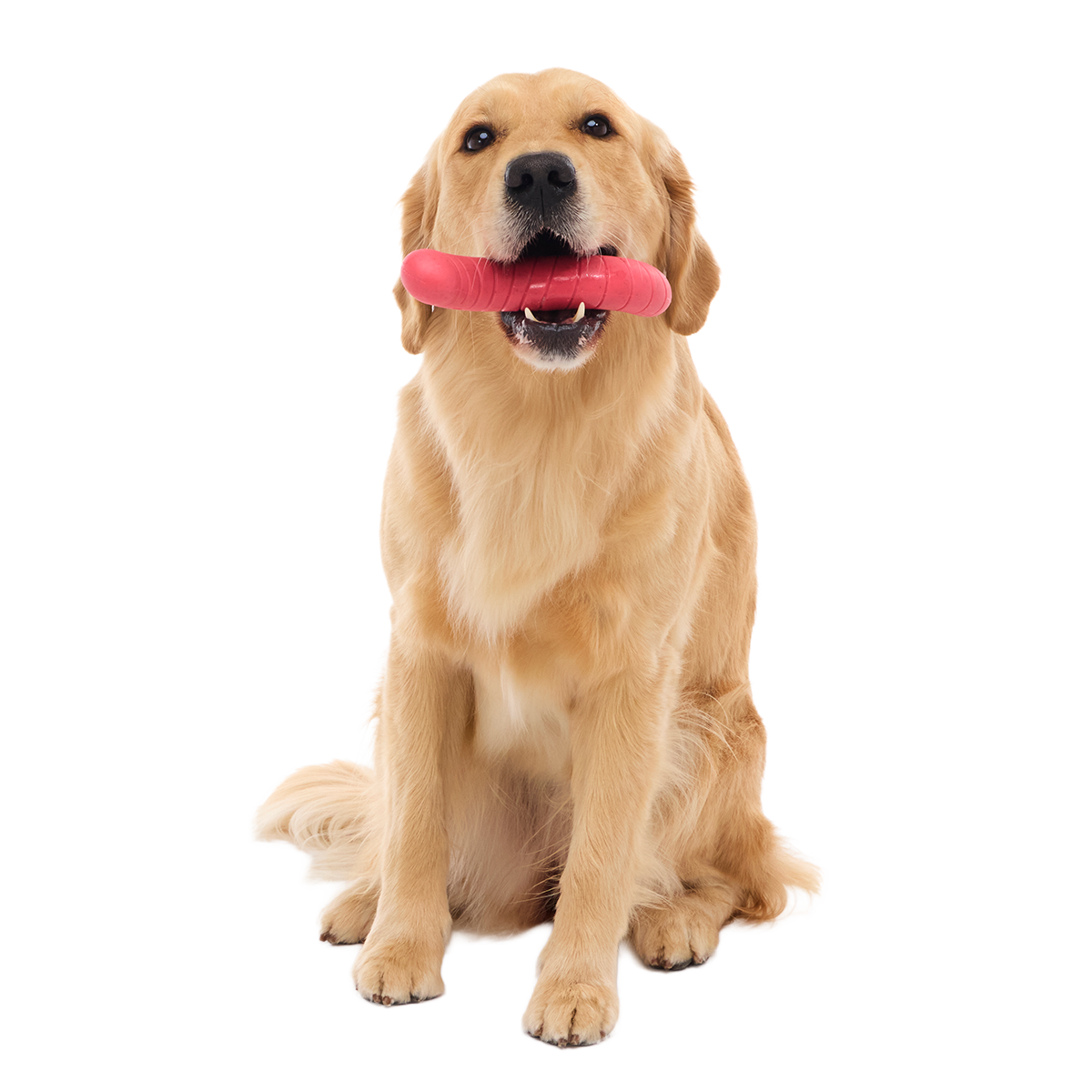 Turf Worm Super Chewer Durable Gnaw Dog Toy