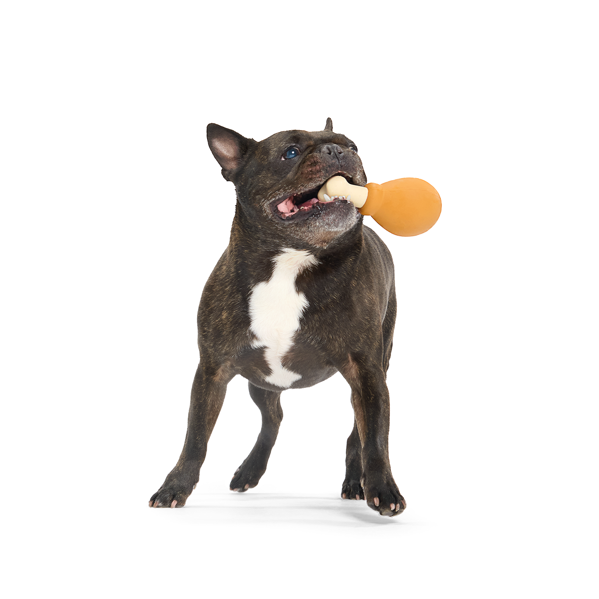 Turkey Day Drumstick Super Chewer Durable Gnaw Dog Toy