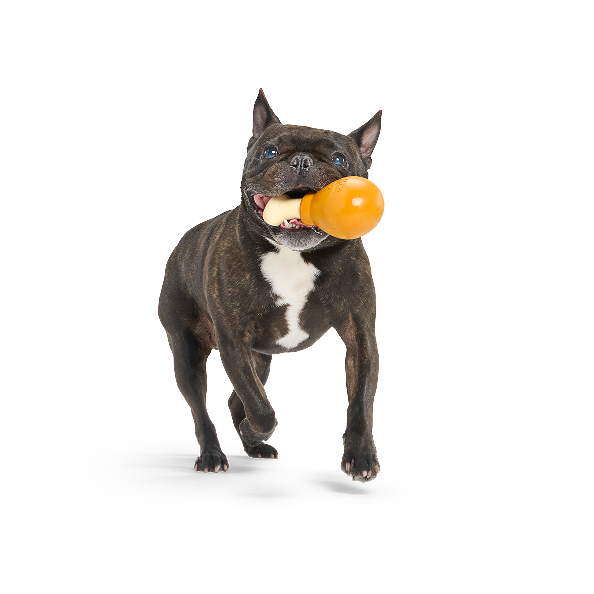 Turkey Day Drumstick Super Chewer Durable Gnaw Dog Toy