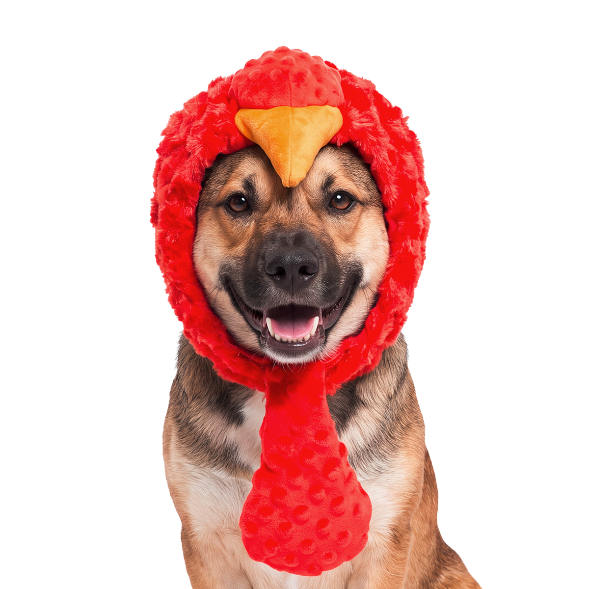 Turkey Lurker Dog Hat