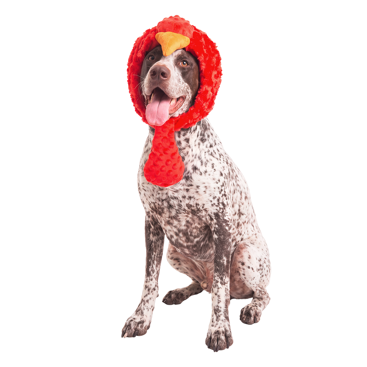 Turkey Lurker Dog Hat