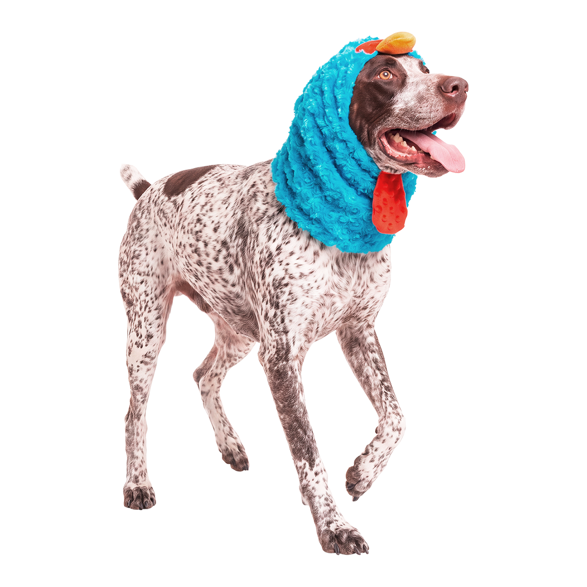 Turkey Lurker Dog Snood