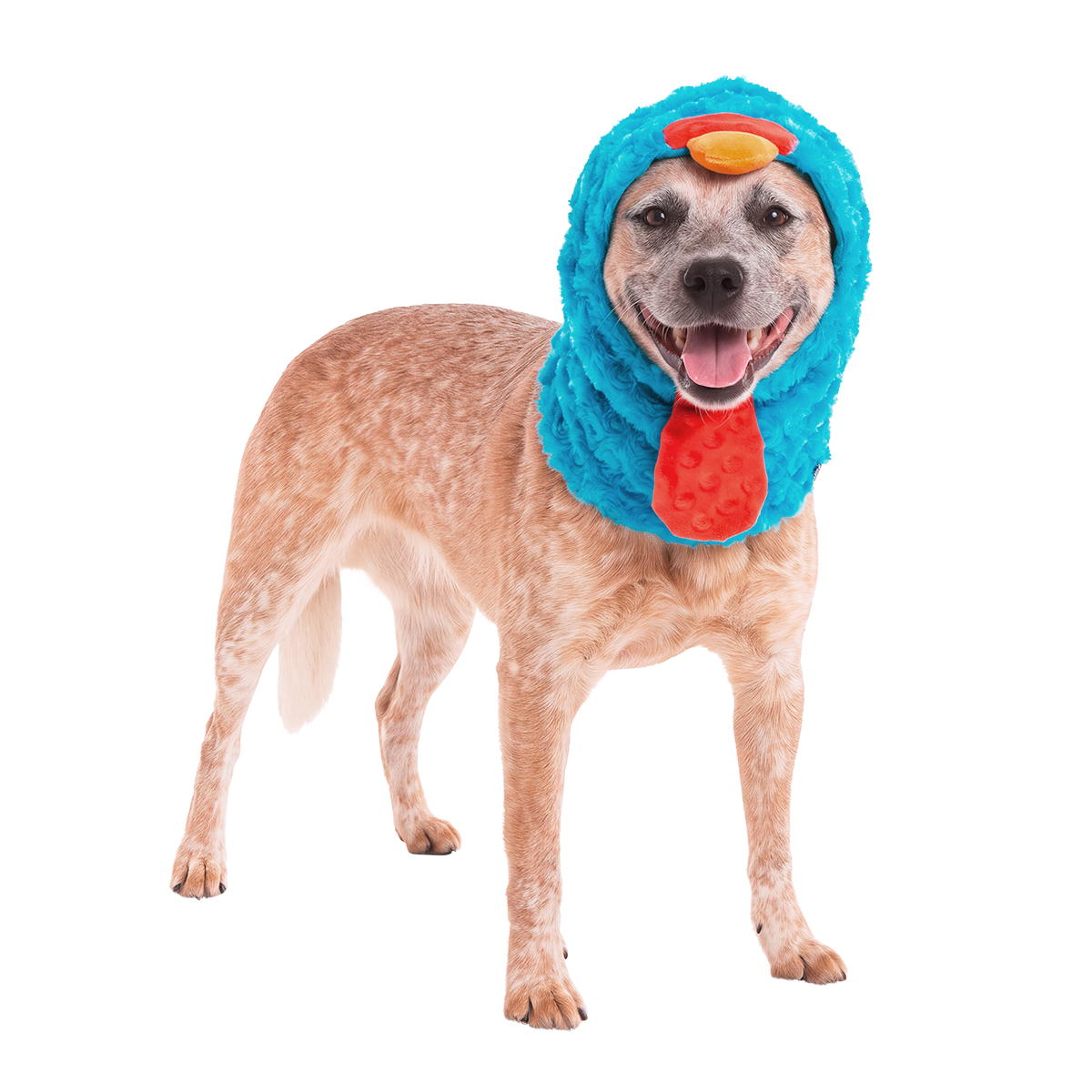 Turkey Lurker Dog Snood