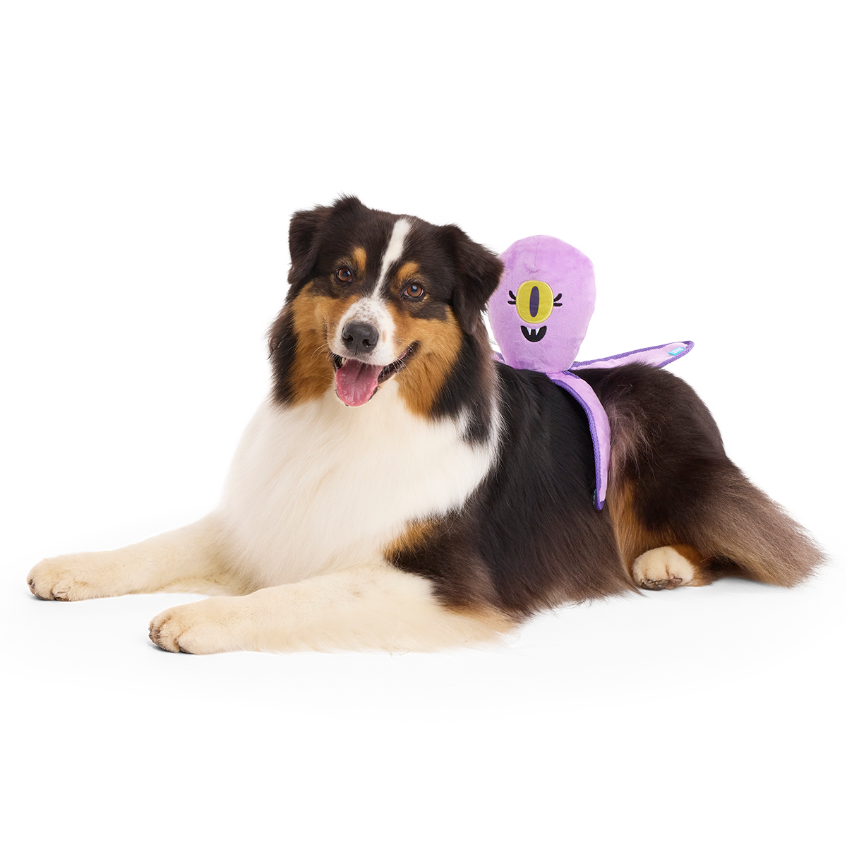 U.F.Ollie Plush Extra-Large + Tug Dog Toy