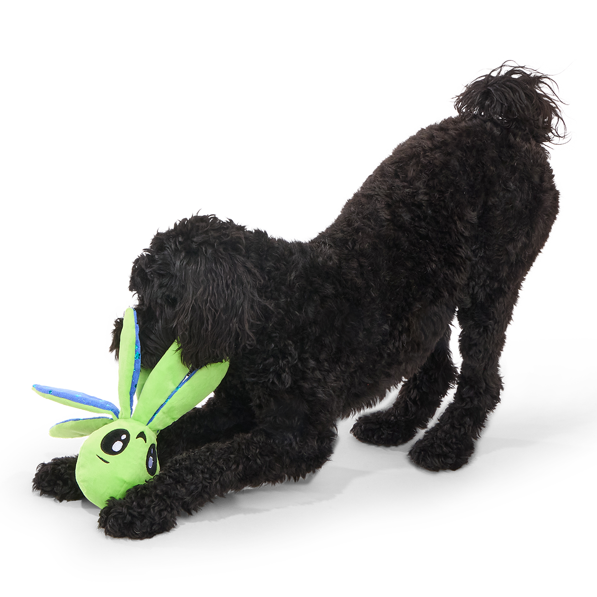 Ollie the Octopus Club, Plush Tug Monthly Dog Toys