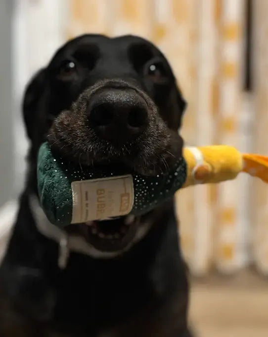 Barkbox Ribbs Free double deluxe upgrade on first box with 6 or 12 month BarkBox ...