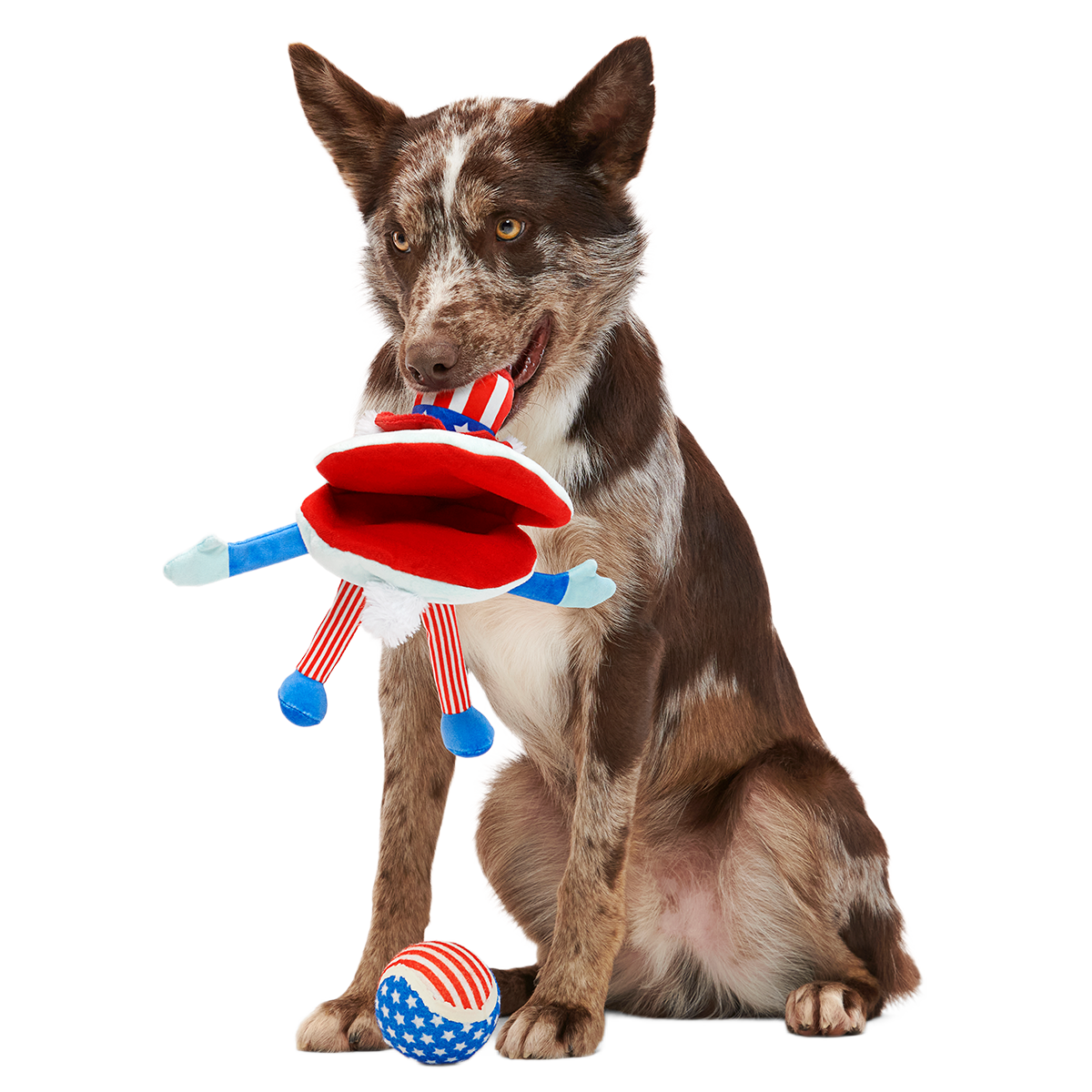 Uncle Clam Plush Multi-Part + Fetch Dog Toy