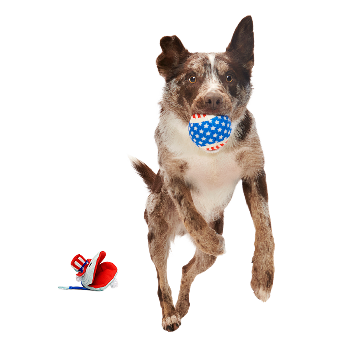 Uncle Clam Plush Multi-Part + Fetch Dog Toy