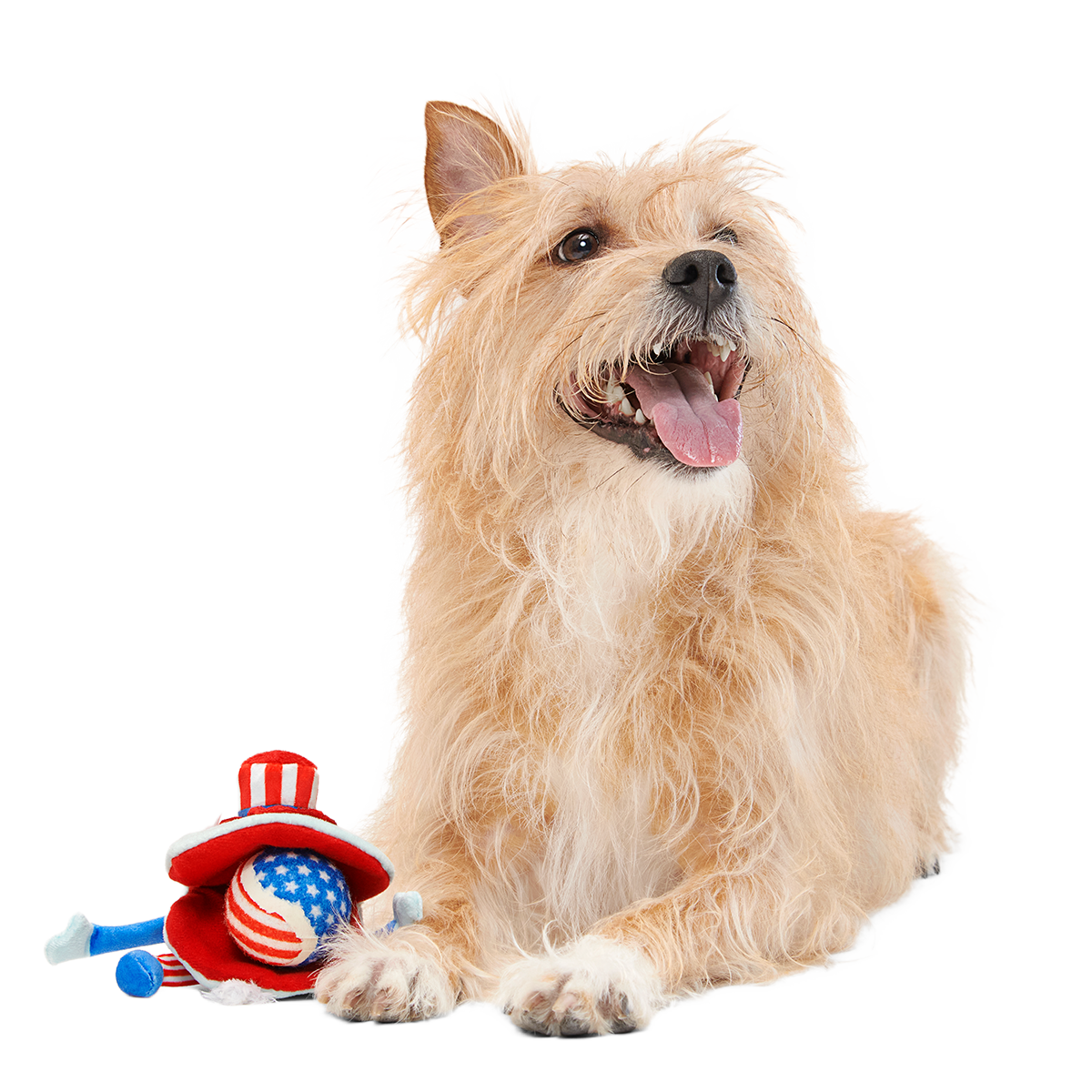 Uncle Clam Plush Multi-Part + Fetch Dog Toy