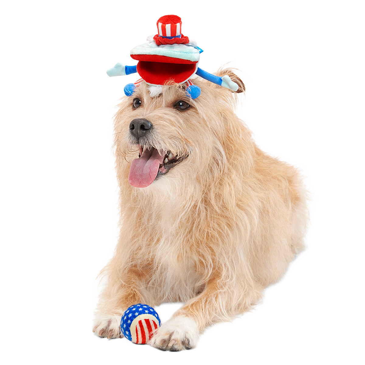 Uncle Clam Plush Multi-Part + Fetch Dog Toy