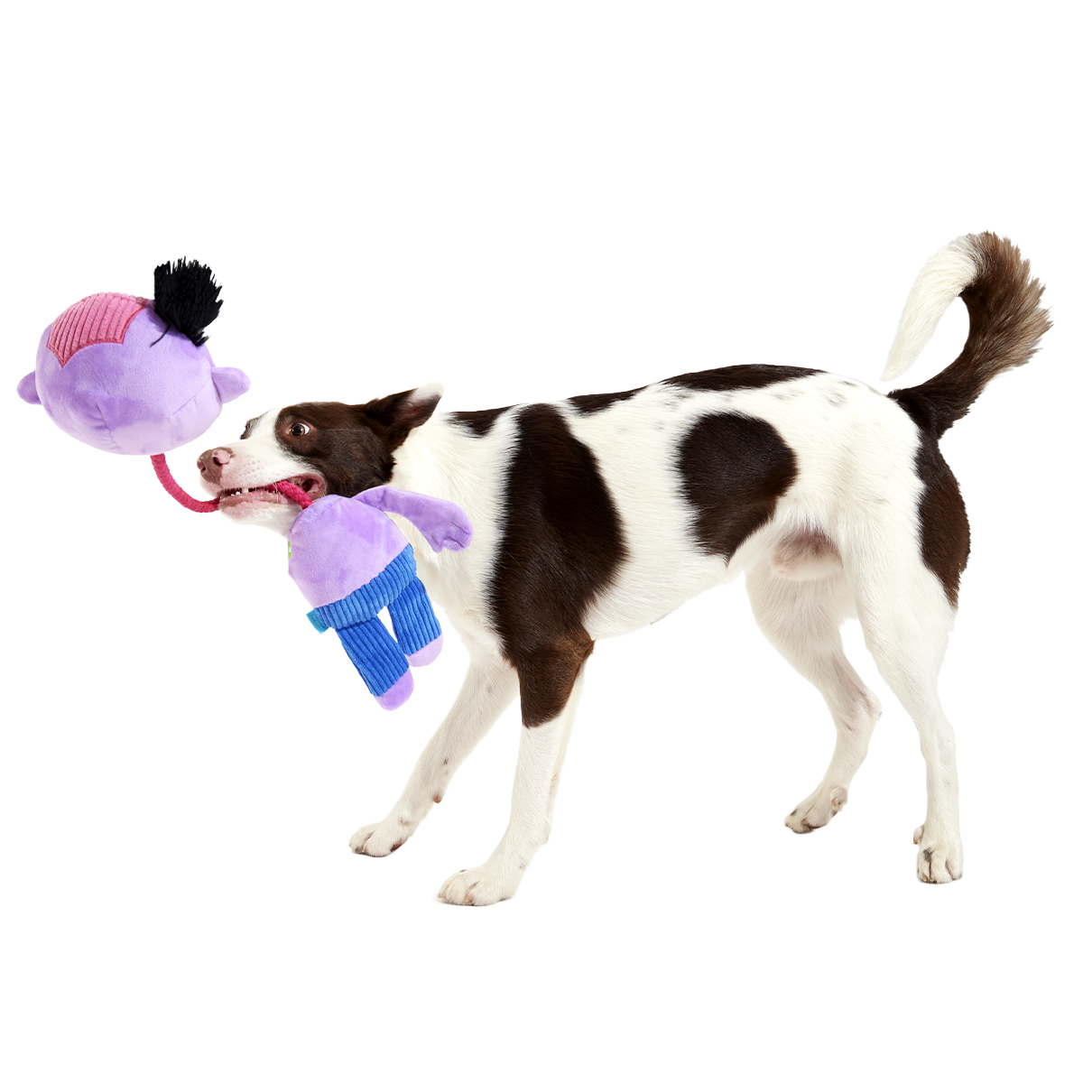 Undead Fred Plush Extra-Large + Tug Dog Toy