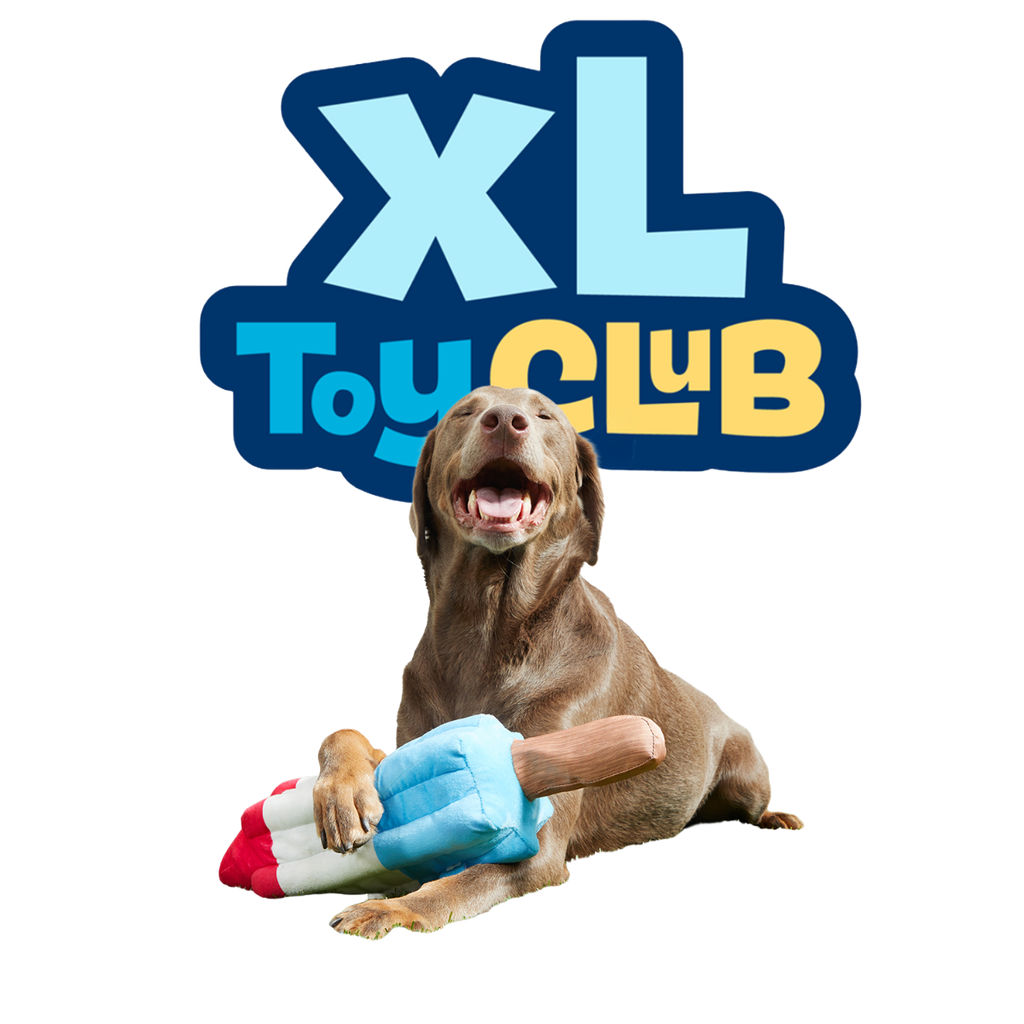 XL Toy Club - Extra-Large Plush Toys for Dogs Monthly Subscription