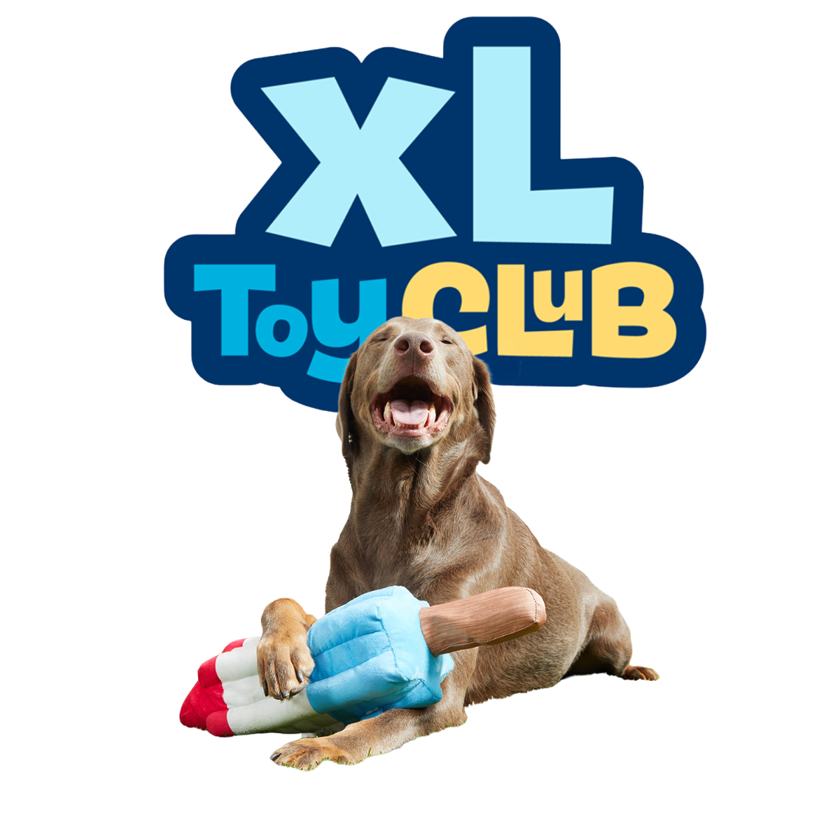 Extra-Large Toy Club, Monthly Plush XL Dog Toys