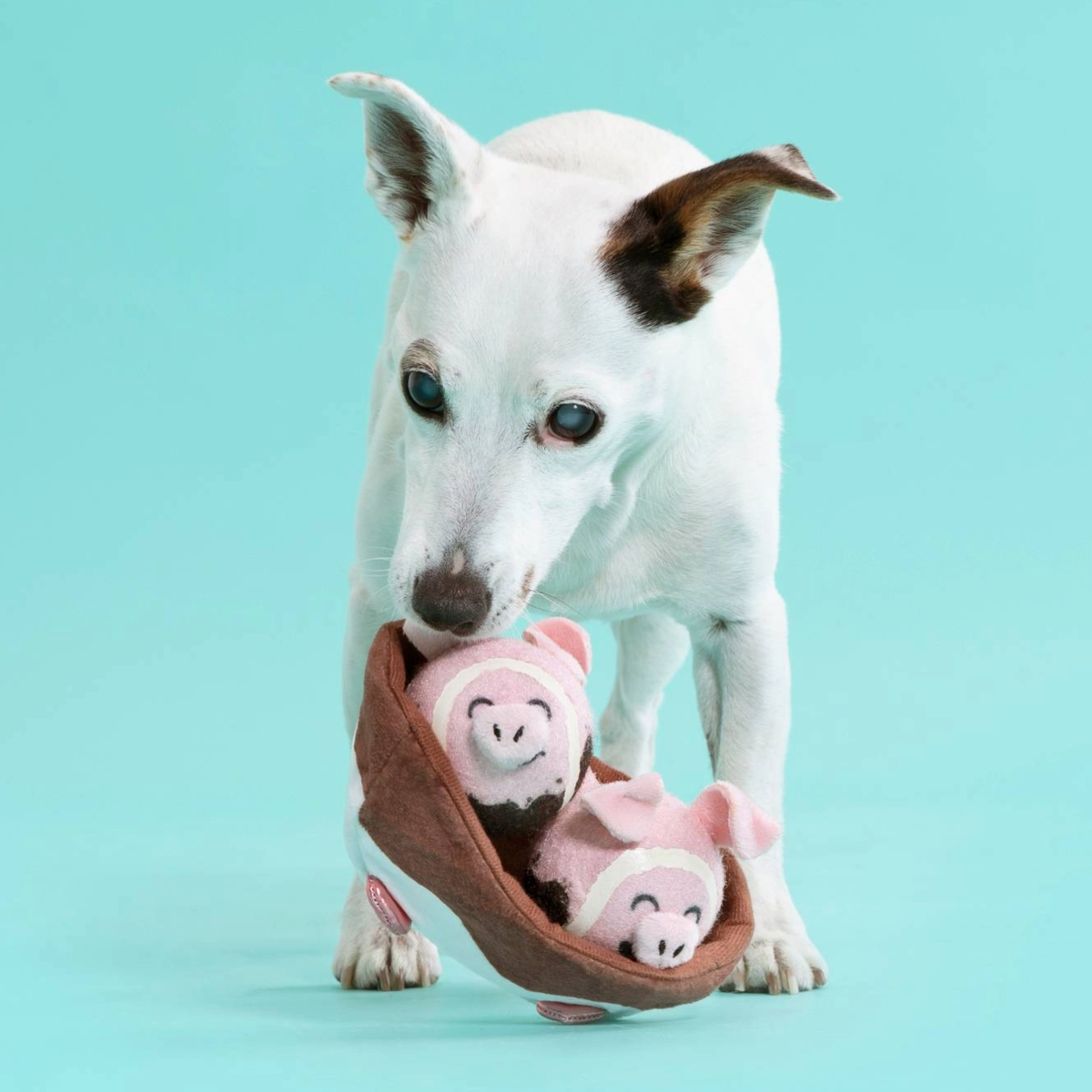 Sow Fresh & Sow Clean