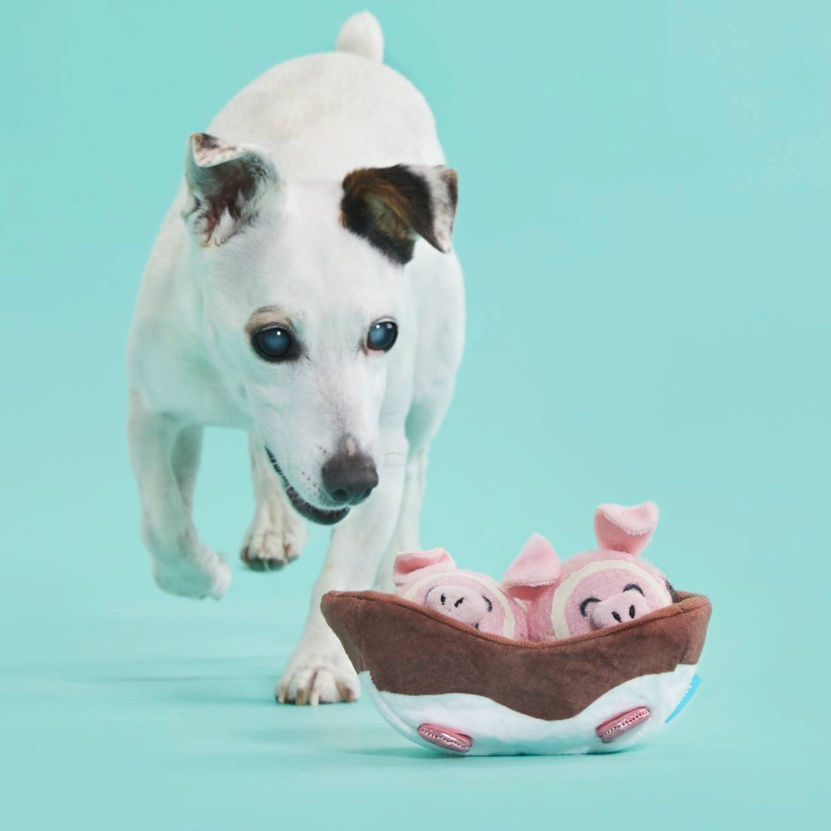 Sow Fresh & Sow Clean