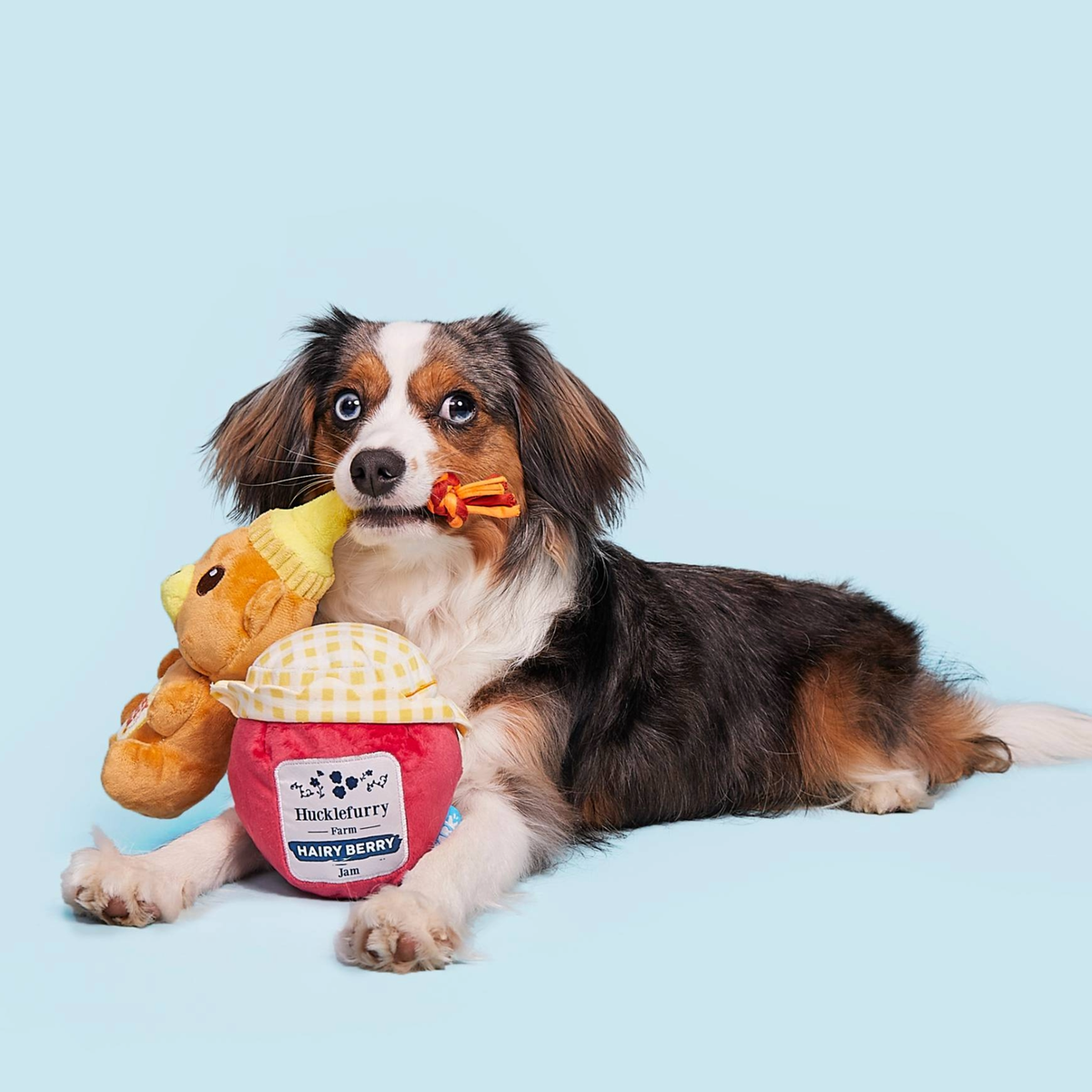 That's My Jam, Honey Plush Multi-Part + Enrichment Dog Toy – BARK